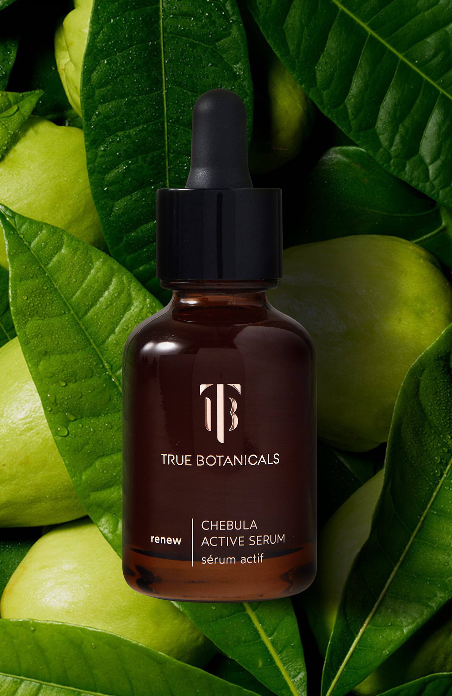 Renew Chebula Active Serum