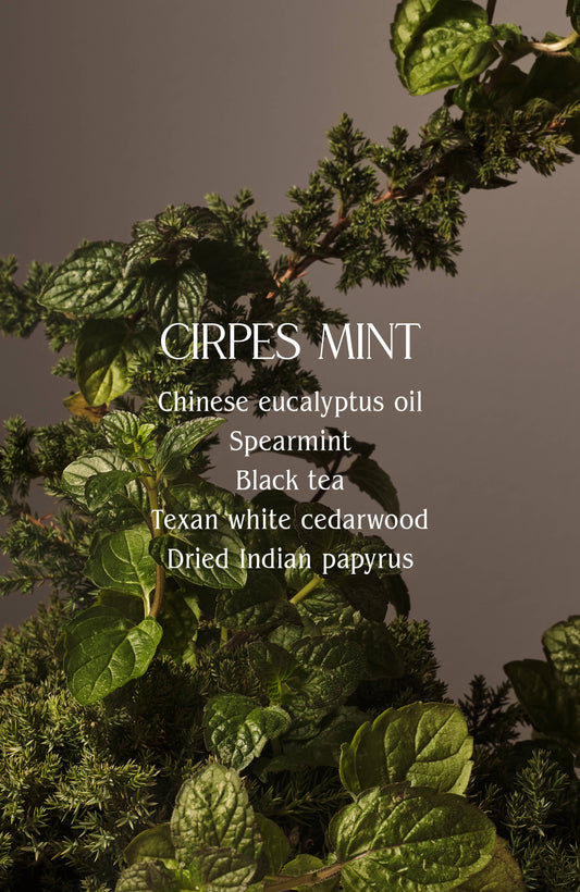 Cipres Mint Hand Wash