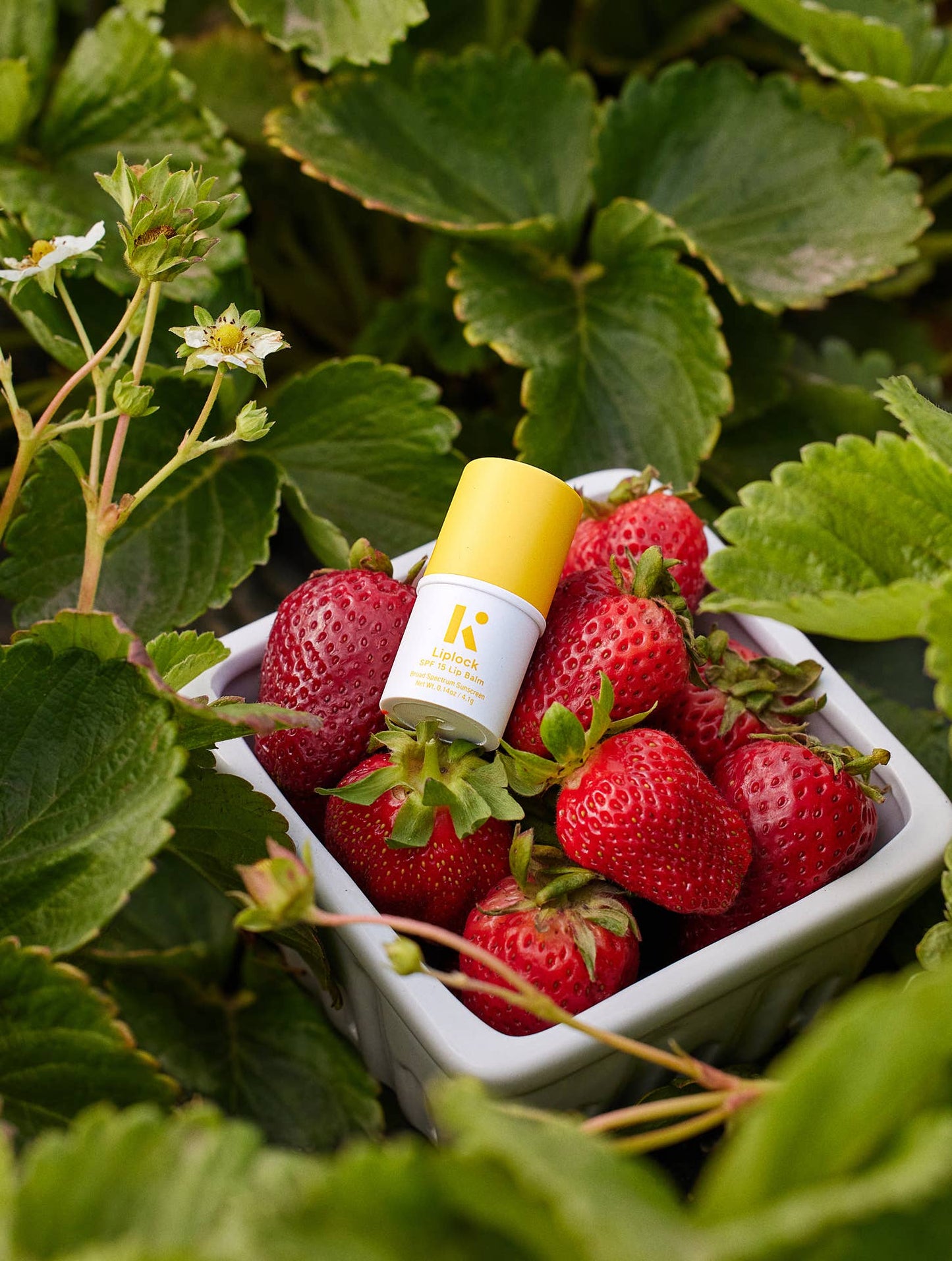 Liplock SPF 15 Sunscreen Lip Balm