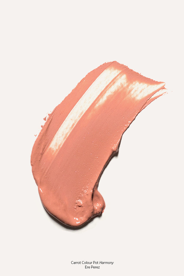 Carrot Color Pot