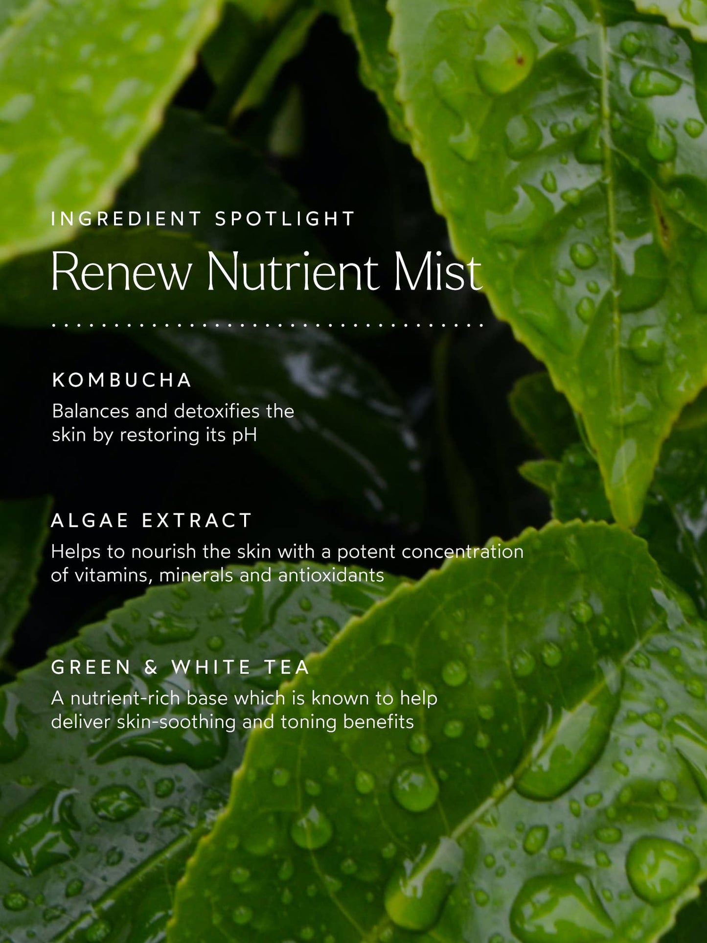 Renew Nutrient Mist