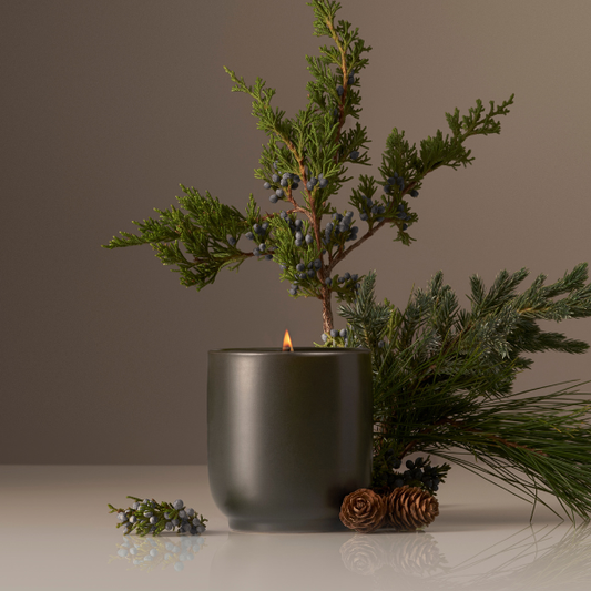 Holiday Limited Edition Balsam Fireplace Candle