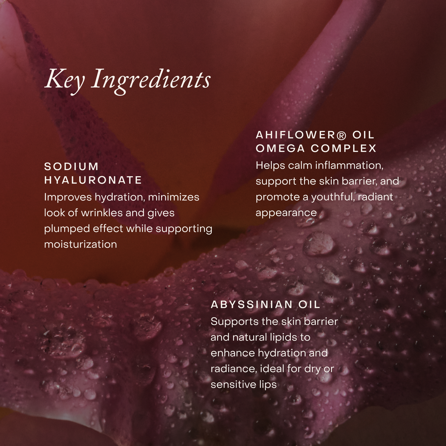 Lipid Lip Hydrating Lip Oil