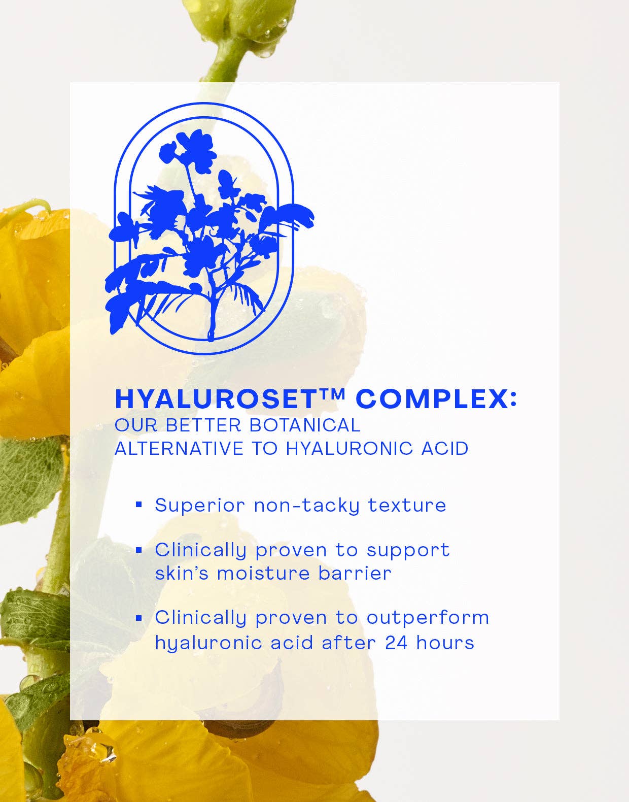 Nourishing Squalane Daily Moisturizer