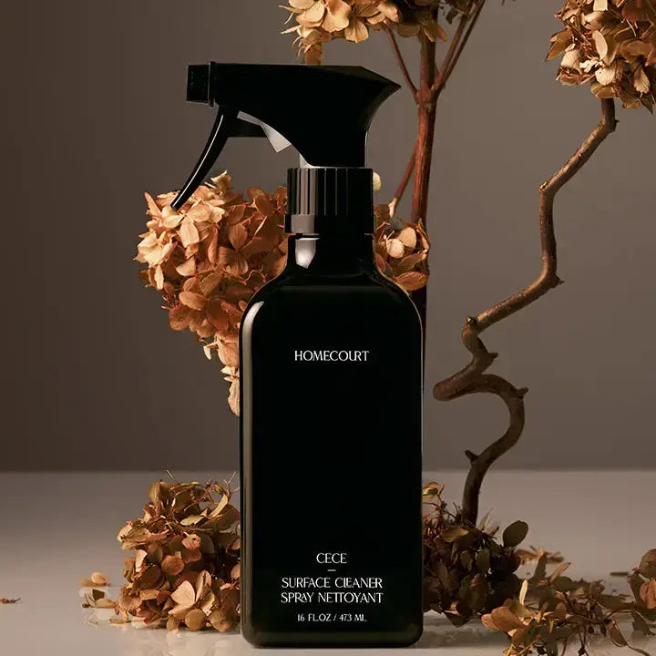 Surface Cleaner
